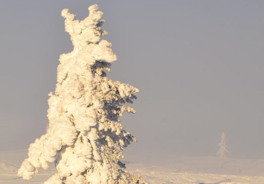 Neulich in Lappland: Eiswüste
